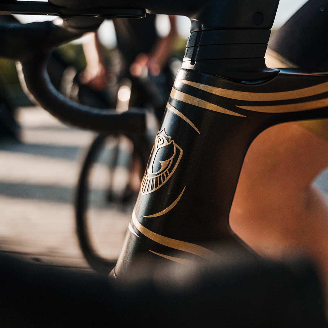 RIDLEY x TOMORROWLAND – Tomorrowland Store