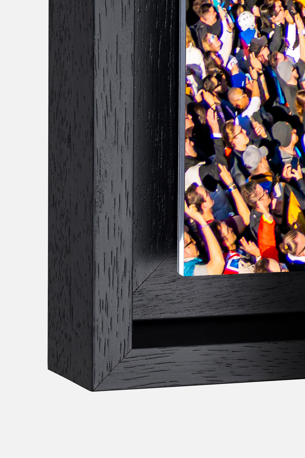 CRYSTAL GARDEN STAGE - BY DAY