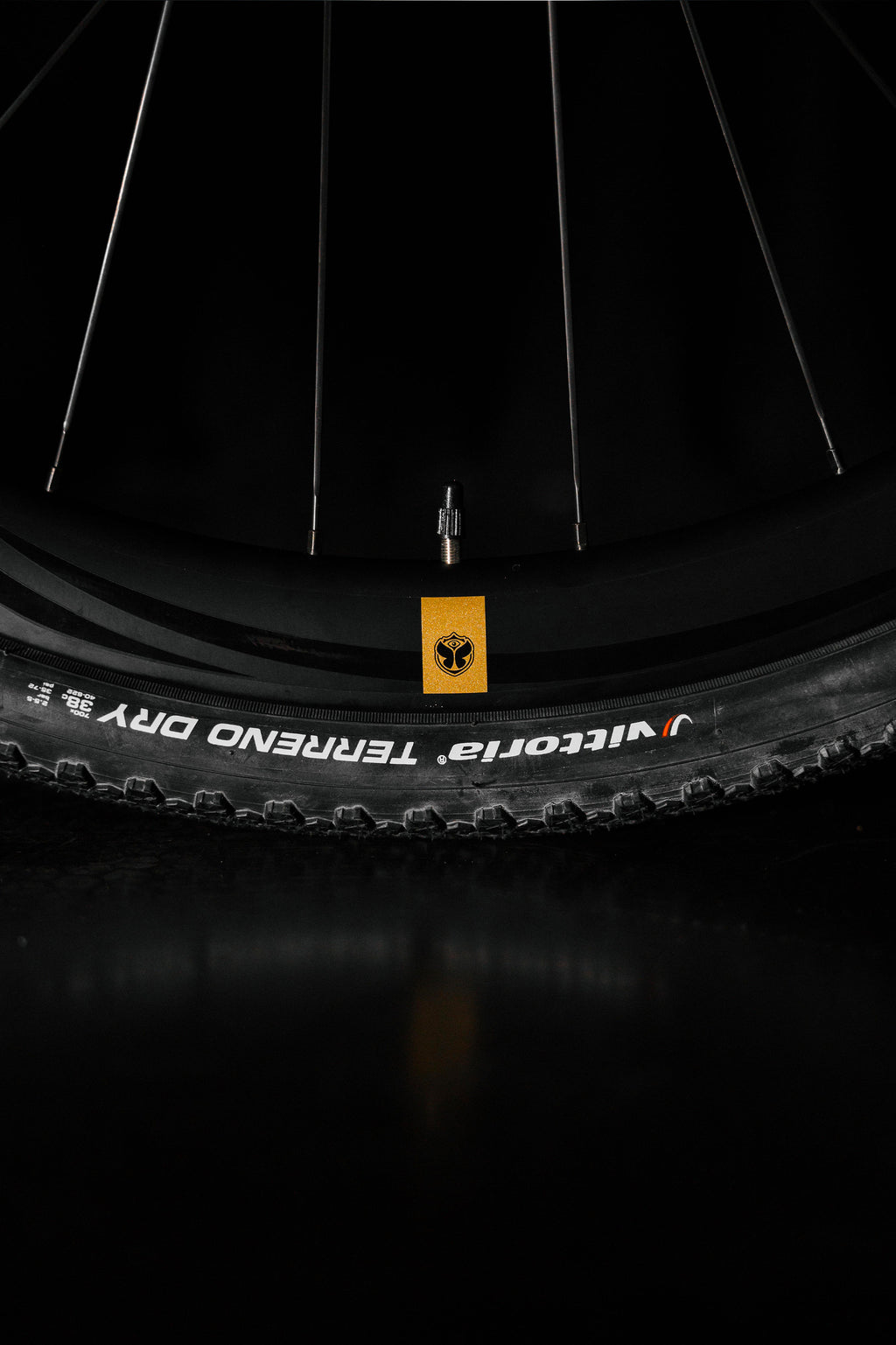 TML x RIDLEY INVENIO GRAVEL CARBON