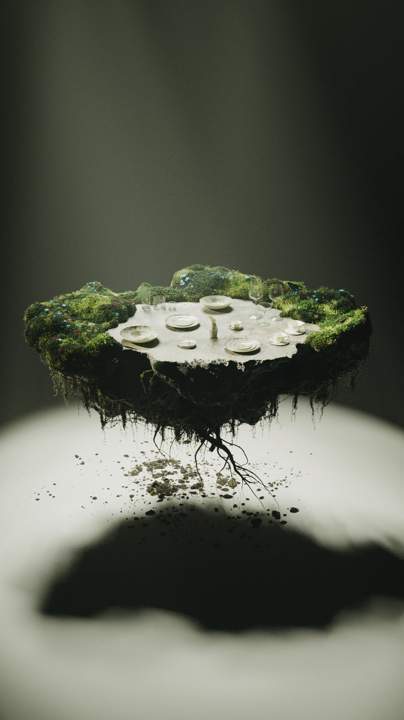 TOMORROWLAND x SERAX