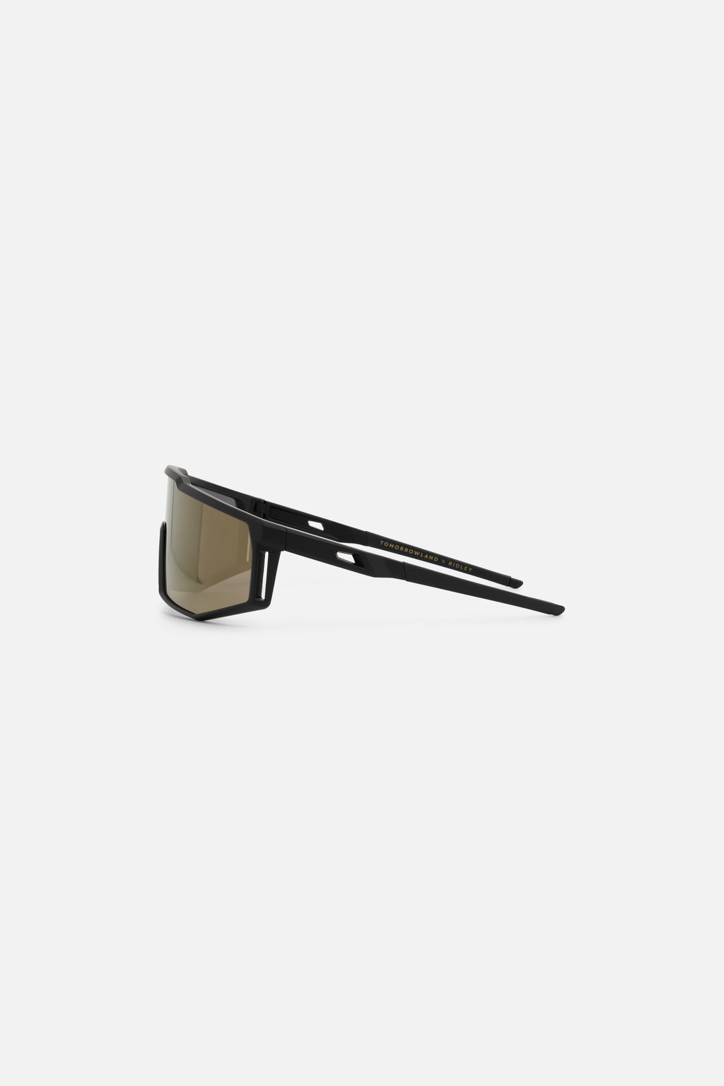 RIDLEY SUNGLASSES