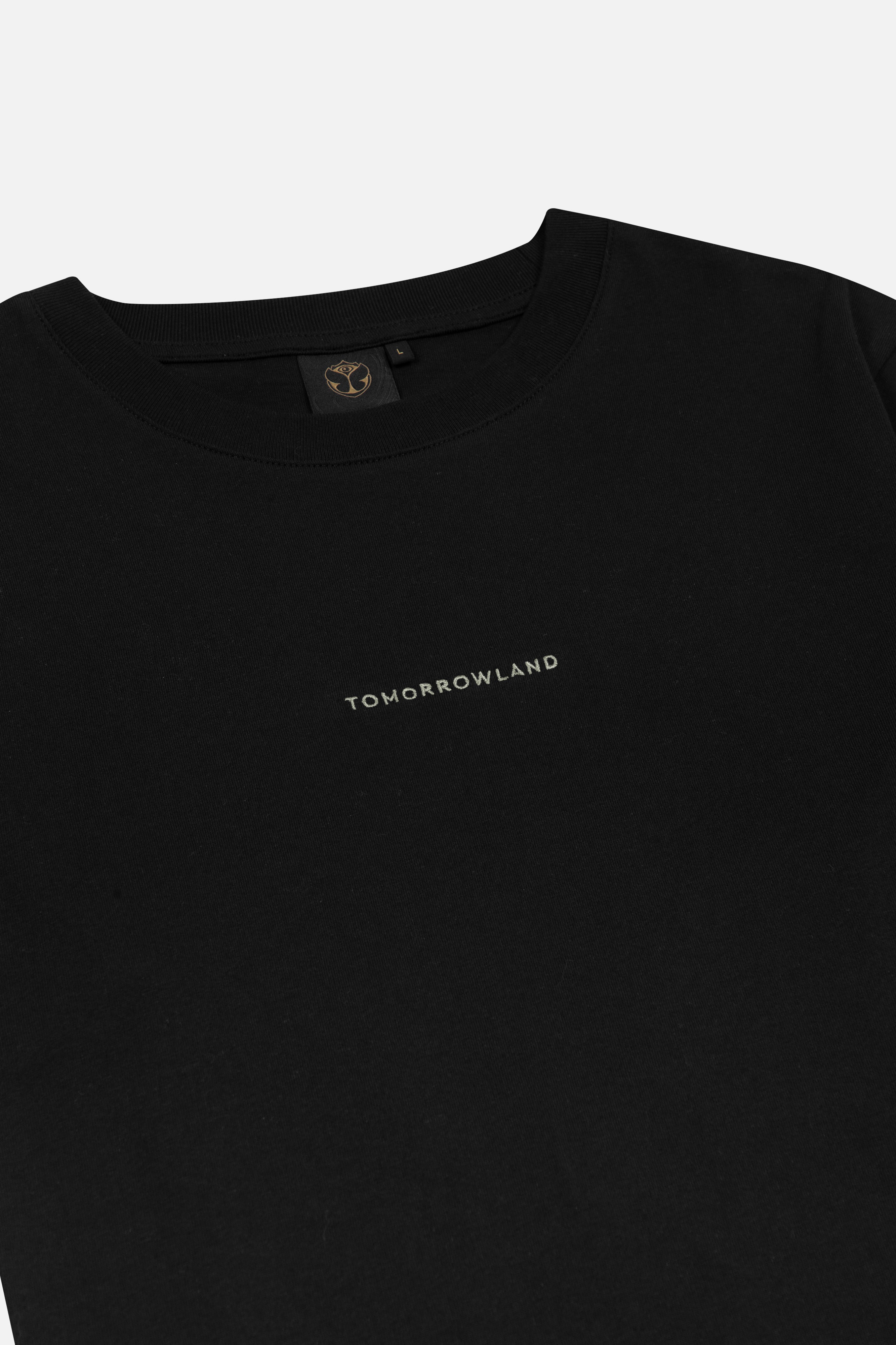 ✨【☆BRIEFING × TOMORROWLAND 】ATTACK PACK 美品 BRIEFING × TOMORROWLAND 別注 ATTACK RACK PLUS バックパック