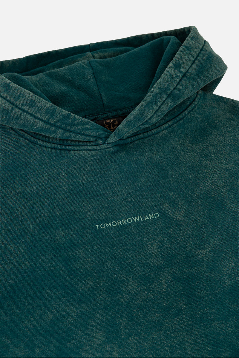 WASHED UNITY FLAG HOODIE