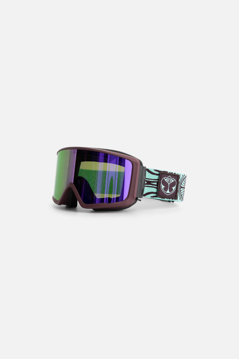 SIGNATURE SKI GOGGLES