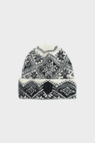 Icon Brushed Beanie