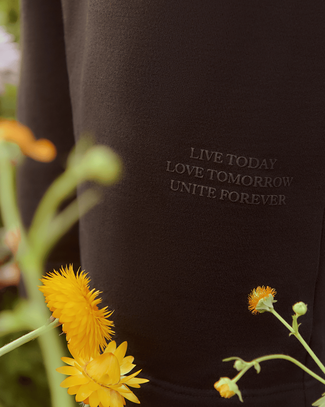About – Tomorrowland Store