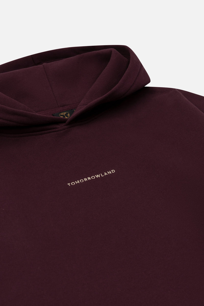 ICON AIRSHIP HOODIE