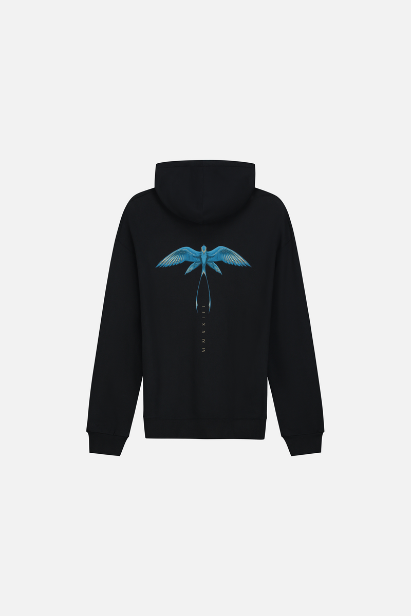 ADSCENDO HOODIE