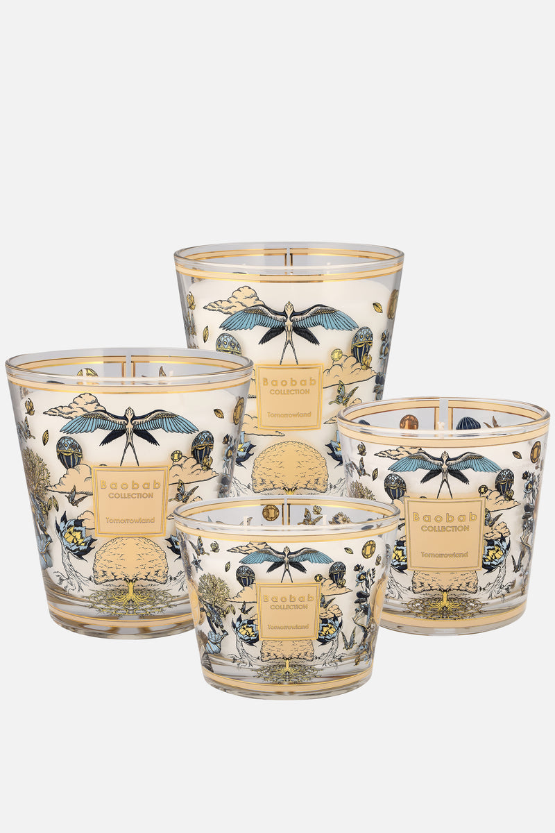 Baobab X TML Candle Max 10