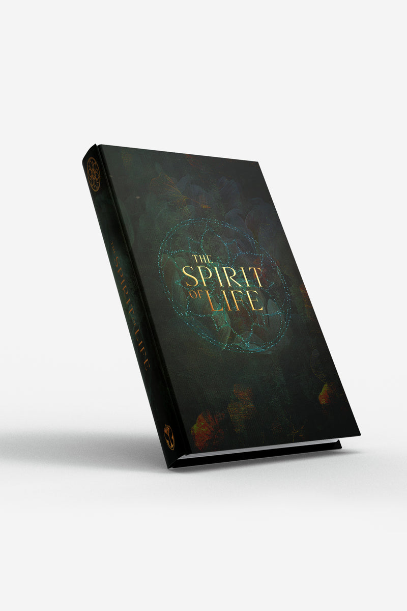 BOOK THE SPIRIT OF LIFE - ENGLISH EDITION