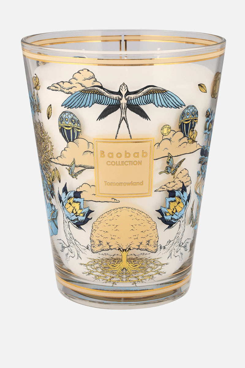 Baobab X TML Candle Max 24