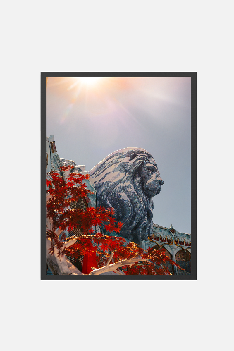 Orbyz Stage - Winter 2026