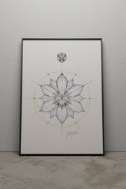 SEED OF LIFE - A3 BLACK FRAME - 1