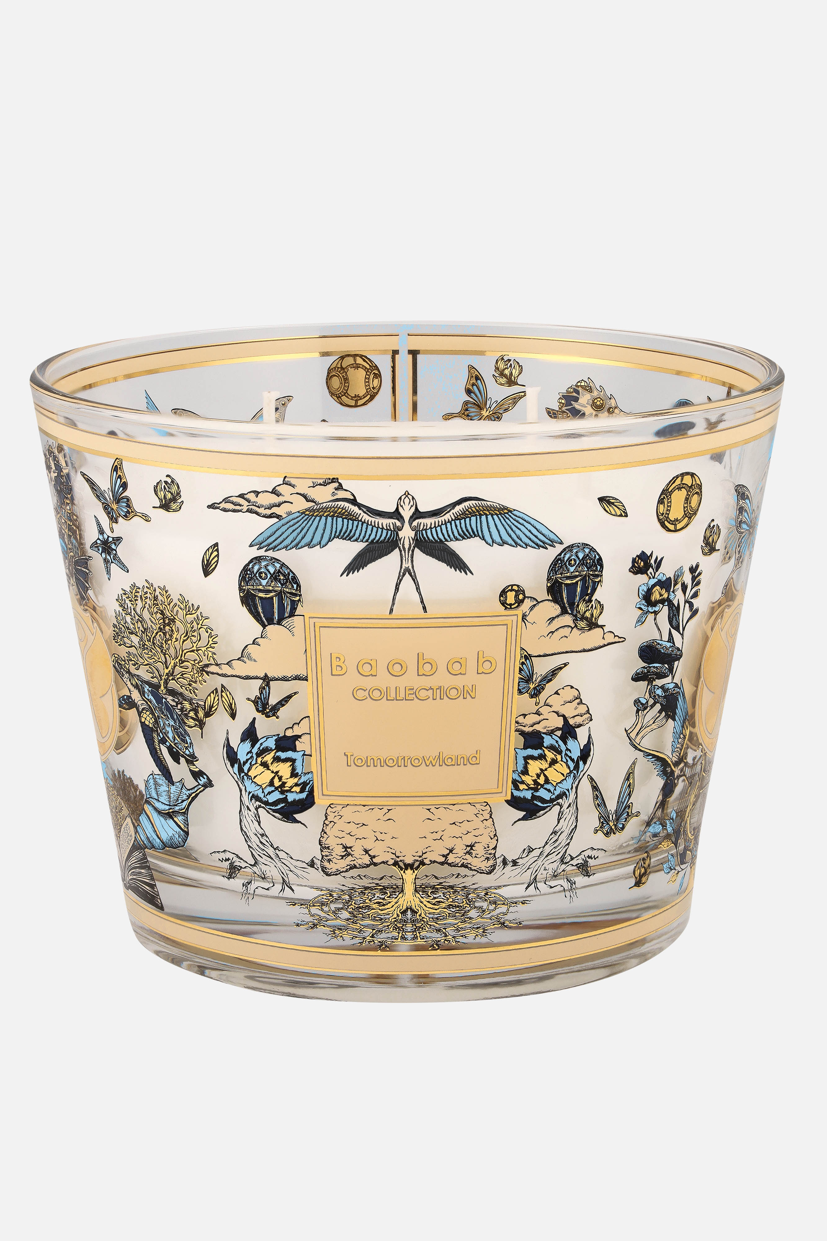 Baobab X TML Candle Max 10 - Tomorrowland Store