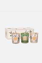 Baobab X TML Trio Candles
