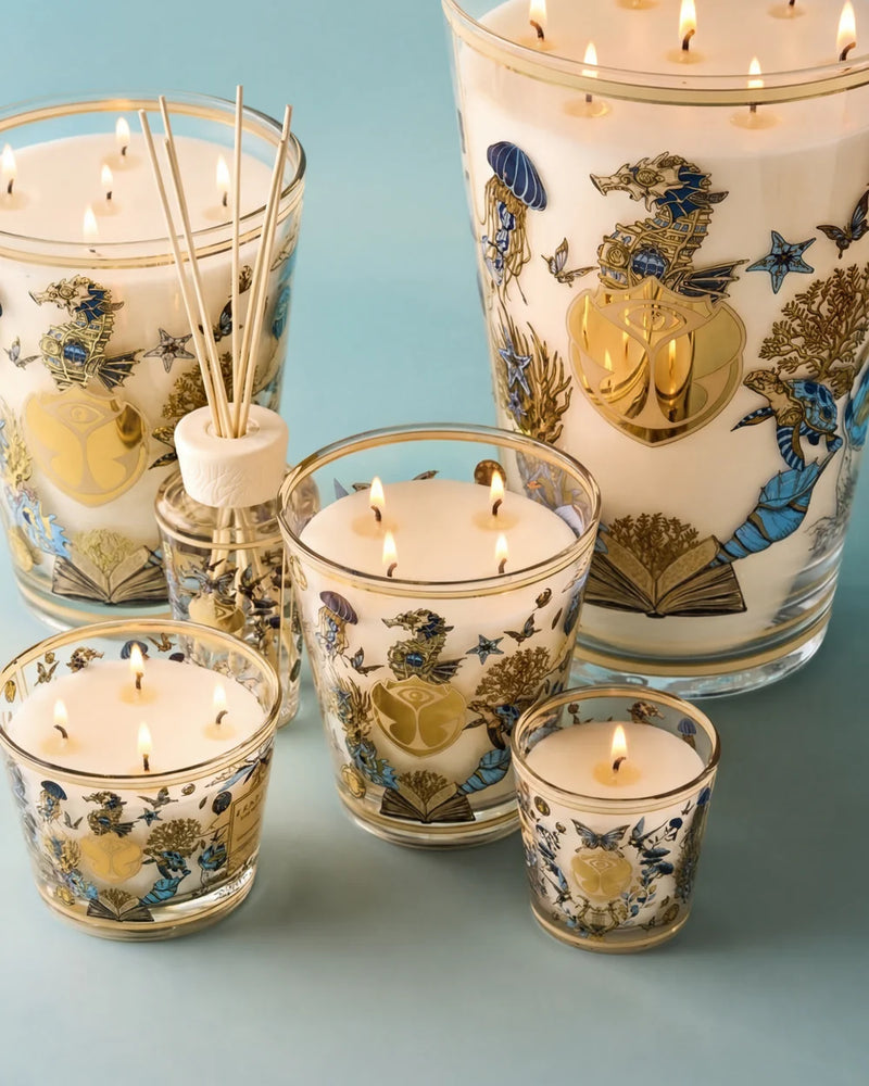 Baobab X TML Candle Max 10
