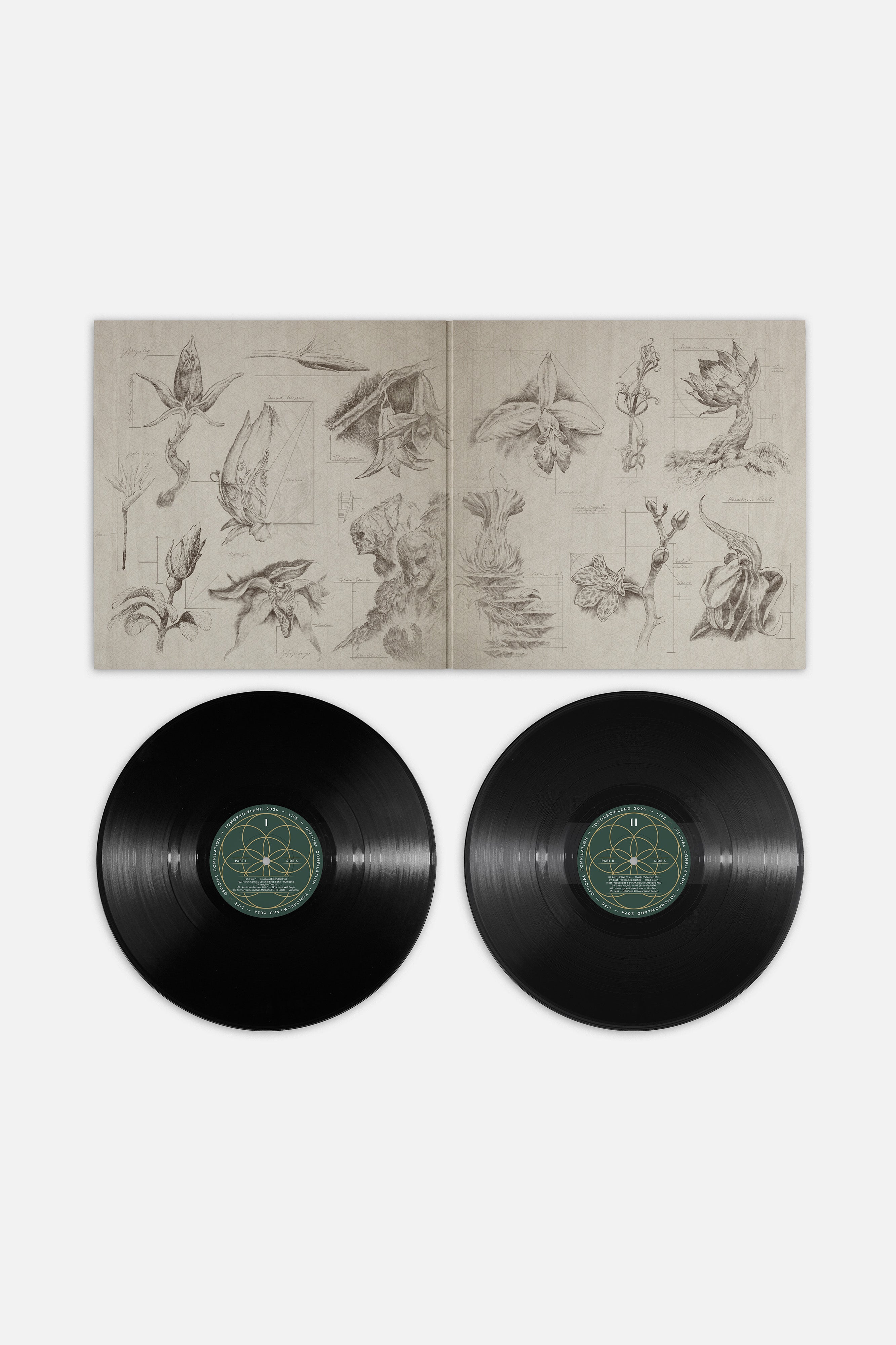 sucked　　　　　　　　　　　　　　　　　TOMORROWLAND Jordan Suckley | Tomorrowland Belgium 2019 - W1 - YouTube