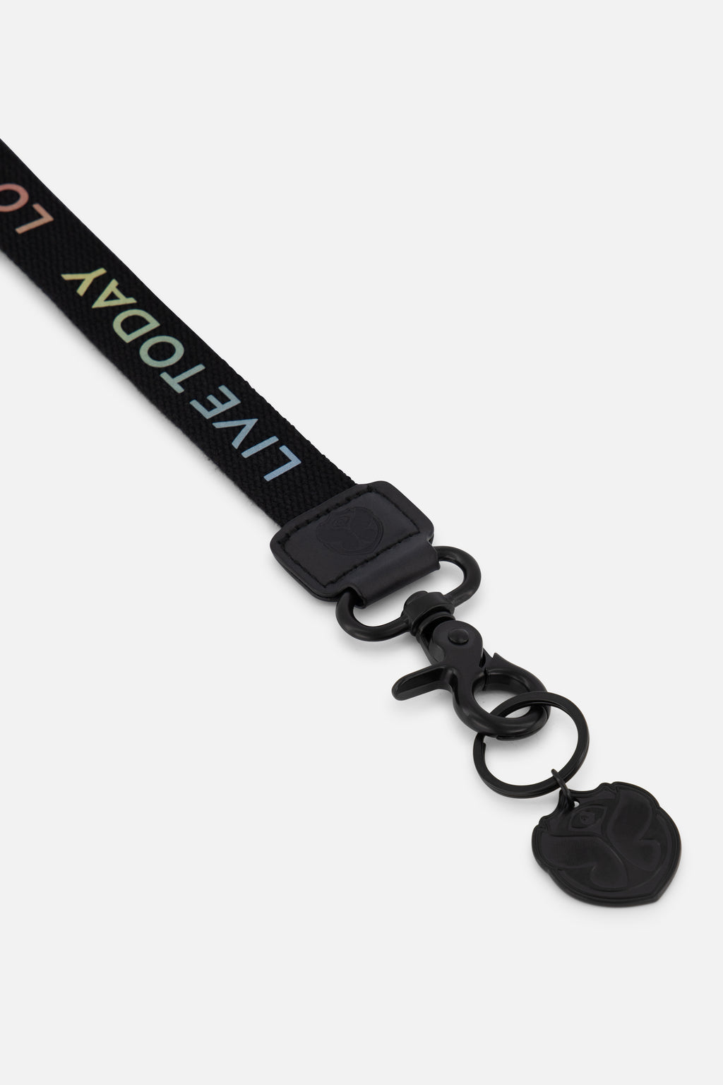 Tomorrowland Gradient Lanyard Detail